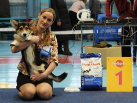 PUD_5109.jpg (560.49 КБ, Просмотров: 8401) PUD_5109.jpg