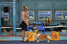 DSC_5686.jpg (516.82 КБ, Просмотров: 8396) DSC_5686.jpg