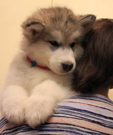 DICV1wyJyao.jpg (143.59 КБ, Просмотров: 1245) DICV1wyJyao.jpg