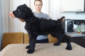 27e6521fcc99.jpg (159.07 КБ, Просмотров: 3025) 27e6521fcc99.jpg