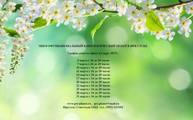 график март .jpg (804.08 КБ, Просмотров: 16944) график март .jpg