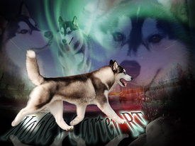 ZCpdjyD1.jpg (81.03 КБ, Просмотров: 10478) ZCpdjyD1.jpg