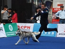 C38ZW4SP.jpg (90.11 КБ, Просмотров: 9847) C38ZW4SP.jpg