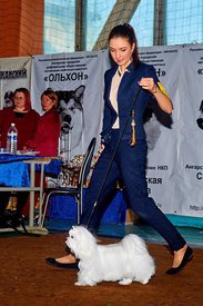 tiY0au6fV40.jpg (176.38 КБ, Просмотров: 13510) tiY0au6fV40.jpg