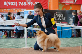DSC_5732.jpg (647.75 КБ, Просмотров: 13886) DSC_5732.jpg