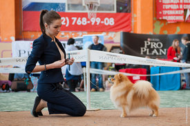 DSC_5740.jpg (662.74 КБ, Просмотров: 13512) DSC_5740.jpg