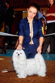 isrihqqW-p0.jpg (159.66 КБ, Просмотров: 13503) isrihqqW-p0.jpg