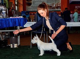 qiUa81ZnbTI.jpg (209.01 КБ, Просмотров: 13276) qiUa81ZnbTI.jpg