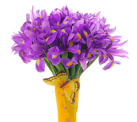 ирисы.png (182.02 КБ, Просмотров: 13474) ирисы.png