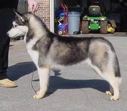 jjb2K8LW.jpg (9.5 КБ, Просмотров: 9847) jjb2K8LW.jpg