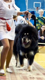 3Hw1s7lp0t0.jpg (97.45 КБ, Просмотров: 1797) 3Hw1s7lp0t0.jpg