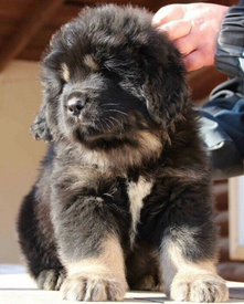 BxLX1TFS752u0.jpg (132.58 КБ, Просмотров: 1797) BxLX1TFS752u0.jpg