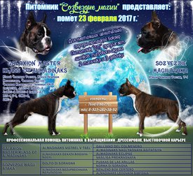 Кол.мал.Атака.jpg (402.71 КБ, Просмотров: 2057) Кол.мал.Атака.jpg