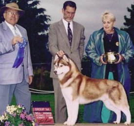 rxJQeKPe.jpg (23.34 КБ, Просмотров: 10484) rxJQeKPe.jpg