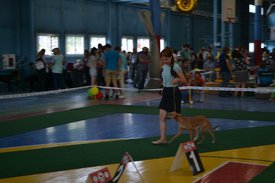 0.02.01.0c39d94bd935c642f7c75ce4678ad9a5bf1037aed0e83b41bbd1ab56848c167b_full.0.jpg (91.2 КБ, Просмотров: 12650) 0.02.01.0c39d94bd935c642f7c75ce4678ad9a5bf1037aed0e83b41bbd1ab56848c167b_full.0.jpg