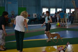 0.02.01.9cf3045865fd0f3ebf9f643eb2a0345b786b128315106181089cbbb081ddb8c5_full.0.jpg (89.21 КБ, Просмотров: 12665) 0.02.01.9cf3045865fd0f3ebf9f643eb2a0345b786b128315106181089cbbb081ddb8c5_full.0.jpg