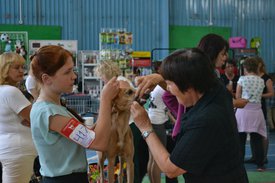 0.02.01.37f6c678c7ac0881384ccbebd014ec387e35503bb9221cab89fda5bd1b3b5a63_full.jpg (103.63 КБ, Просмотров: 12649) 0.02.01.37f6c678c7ac0881384ccbebd014ec387e35503bb9221cab89fda5bd1b3b5a63_full.jpg