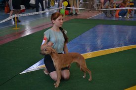 0.02.01.673c0520ccd48a1d88292bdae96ddf2c0f446028f831742ad80628f7d813ac36_full.0.jpg (106.78 КБ, Просмотров: 12649) 0.02.01.673c0520ccd48a1d88292bdae96ddf2c0f446028f831742ad80628f7d813ac36_full.0.jpg