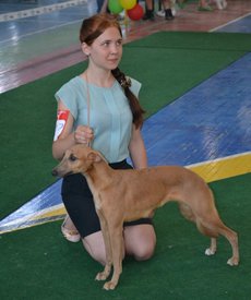 0.02.01.b6d15edd969e49ef76a9935877b119e4bcce7d8cbf331c6a72faf63d1c067a08_full.jpg (170 КБ, Просмотров: 14024) 0.02.01.b6d15edd969e49ef76a9935877b119e4bcce7d8cbf331c6a72faf63d1c067a08_full.jpg