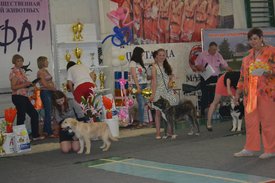 0-02-01-f5fdc59b3defa26f8f2fae5716e3c50d47657c43a2ab78d52271de05a143bef6_full.jpg (129.4 КБ, Просмотров: 12618) 0-02-01-f5fdc59b3defa26f8f2fae5716e3c50d47657c43a2ab78d52271de05a143bef6_full.jpg