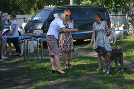 0-02-01-6f79f8f87fb75baa03124af84d2cd5e53bc5d090df05c06cf6af7f2c2c3abfa1_full.jpg (208.98 КБ, Просмотров: 12630) 0-02-01-6f79f8f87fb75baa03124af84d2cd5e53bc5d090df05c06cf6af7f2c2c3abfa1_full.jpg