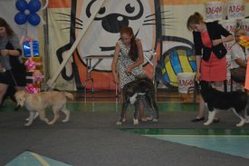 0-02-01-0d93fc84bce80ef81f6184cd56f997d5230a17b37b5704f7e798479549aa47a2_full.jpg (114.38 КБ, Просмотров: 12615) 0-02-01-0d93fc84bce80ef81f6184cd56f997d5230a17b37b5704f7e798479549aa47a2_full.jpg