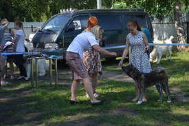 0-02-01-bded2b0a4b49c18417ceeb2bd47fbfca5bf73d697a72d56ca701d9819610c356_full.jpg (210.79 КБ, Просмотров: 12616) 0-02-01-bded2b0a4b49c18417ceeb2bd47fbfca5bf73d697a72d56ca701d9819610c356_full.jpg