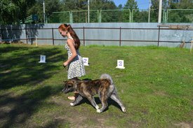 0-02-01-bae2bb7a874ffc678bf748fbff09bfafd688a75b19c2c0c7b5852acad8b5ebad_full.jpg (228.31 КБ, Просмотров: 12630) 0-02-01-bae2bb7a874ffc678bf748fbff09bfafd688a75b19c2c0c7b5852acad8b5ebad_full.jpg