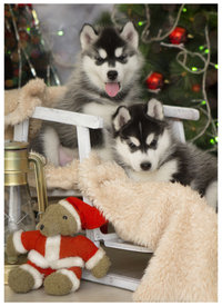 1HDgEzNJ.jpg (250.1 КБ, Просмотров: 9841) 1HDgEzNJ.jpg