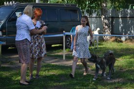 0-02-01-56914cf4420a7acfc612b12410760a287e3358f86ad7cb6a6d10649d90d03f87_full.jpg (184.48 КБ, Просмотров: 13054) 0-02-01-56914cf4420a7acfc612b12410760a287e3358f86ad7cb6a6d10649d90d03f87_full.jpg