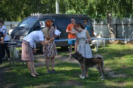 0-02-01-30888d0a13b9f9351d95253de52b634dd384416077c0a58686e32db61c7ef0d0_full.jpg (219.05 КБ, Просмотров: 12604) 0-02-01-30888d0a13b9f9351d95253de52b634dd384416077c0a58686e32db61c7ef0d0_full.jpg