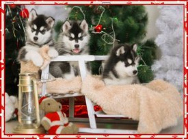 1HDgEzOA.jpg (73.78 КБ, Просмотров: 9844) 1HDgEzOA.jpg