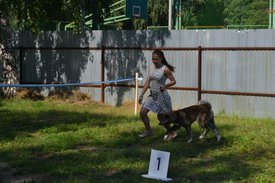 0-02-01-b6789f35514251ffd2ffceccb8f791fa0cc3aa355262572232e2380c01fed05f_full.jpg (183.24 КБ, Просмотров: 12946) 0-02-01-b6789f35514251ffd2ffceccb8f791fa0cc3aa355262572232e2380c01fed05f_full.jpg