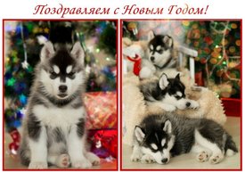 1HDgEzOC.jpg (68.1 КБ, Просмотров: 9841) 1HDgEzOC.jpg