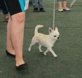 102.jpg (17.08 КБ, Просмотров: 7104) 102.jpg