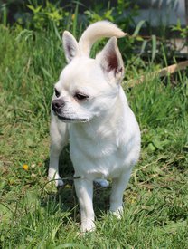 13879238_1046402768770211_4688860333617361747_n.jpg (118.09 КБ, Просмотров: 6920) 13879238_1046402768770211_4688860333617361747_n.jpg