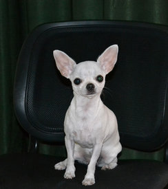 1.jpg (80.17 КБ, Просмотров: 6923) 1.jpg