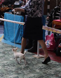 97.jpg (100.82 КБ, Просмотров: 6920) 97.jpg