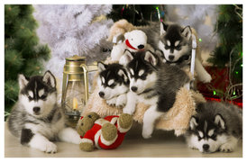 1HDgEzOZ (1).jpg (254.12 КБ, Просмотров: 10475) 1HDgEzOZ (1).jpg