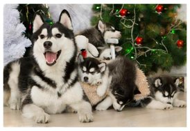 1HDgEzOz.jpg (43.85 КБ, Просмотров: 9841) 1HDgEzOz.jpg