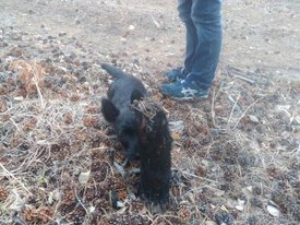 IMG_20170409_154208.jpg (50.34 КБ, Просмотров: 7359) IMG_20170409_154208.jpg