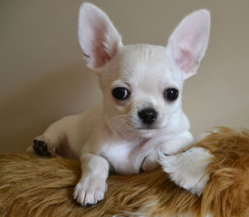 13.jpg (150.29 КБ, Просмотров: 6866) 13.jpg