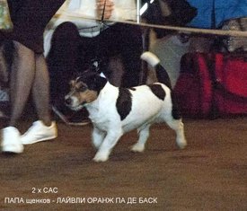 .1б баск.jpg (147.77 КБ, Просмотров: 1726) .1б баск.jpg