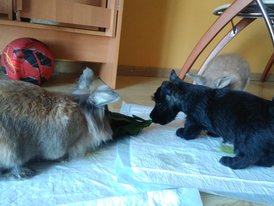 Даря.jpg (478.93 КБ, Просмотров: 7285) Даря.jpg