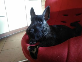 IMG_20170422_164801.jpg (307.36 КБ, Просмотров: 7288) IMG_20170422_164801.jpg