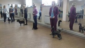 18118731_1307915182654443_6879314051859133304_n.jpg (51.47 КБ, Просмотров: 4207) 18118731_1307915182654443_6879314051859133304_n.jpg