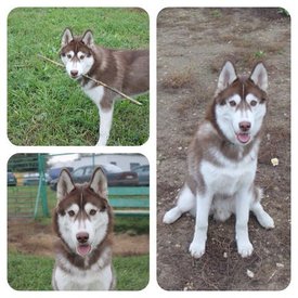 getImage (12).jpg (51.66 КБ, Просмотров: 10481) getImage (12).jpg