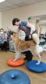 18193906_1308816522564309_7481896437786271761_n.jpg (56.44 КБ, Просмотров: 4212) 18193906_1308816522564309_7481896437786271761_n.jpg