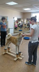 18118867_1308816695897625_1237761796496234840_n.jpg (60.5 КБ, Просмотров: 4748) 18118867_1308816695897625_1237761796496234840_n.jpg