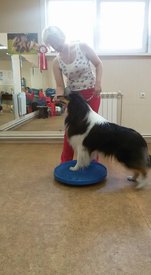 18194872_1308816645897630_8172906856483563952_n.jpg (50.44 КБ, Просмотров: 4212) 18194872_1308816645897630_8172906856483563952_n.jpg